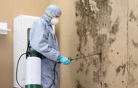 Forensic Mold Investigation in Boonville, IN